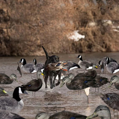 Fully Flocked Duck Silhouette Decoy 5mm Thickness 1200g Black Color Waterproof