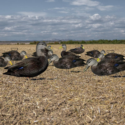 Fully Flocked Duck Silhouette Decoy 5mm Thickness 1200g Black Color Waterproof
